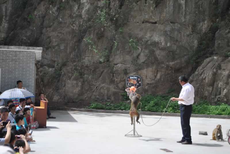 ��һվ��Ӗ�����