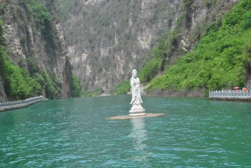 ��Ӱ�µĺ󻨈@