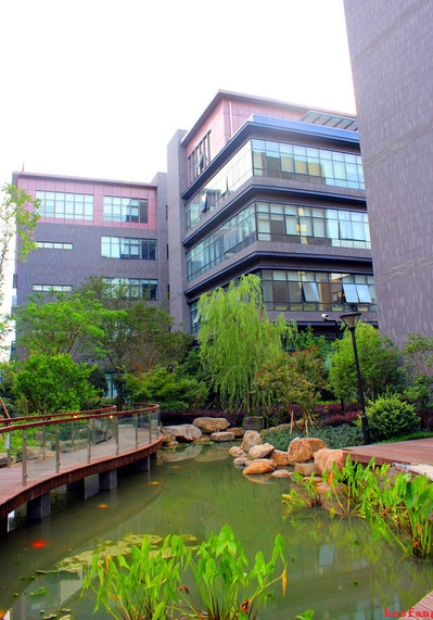 �W(w��ng)վ��(y��u)��֮�W(w��ng)վ����½���ԭ������Щ��