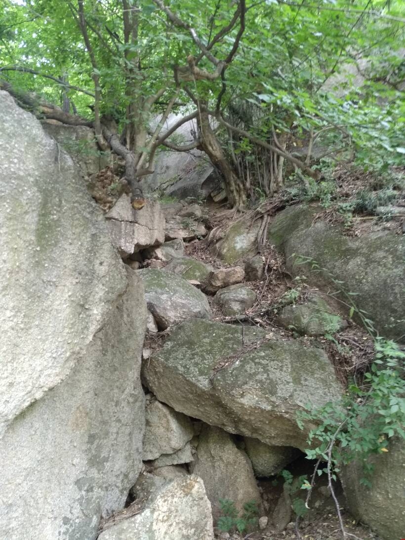 ���ݾW(w��ng)վ���O(sh��)����������