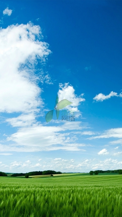 WZ125C型手機網(wǎng)站建設(shè) WZ125C型手機網(wǎng)站建設(shè)