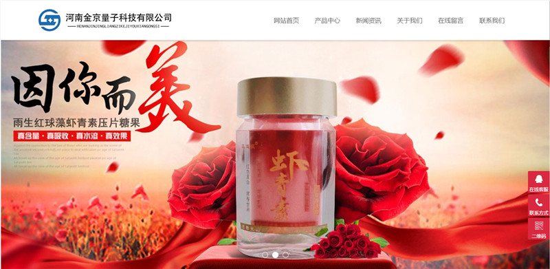 河南金京量子科技有限公司網(wǎng)站建設完成